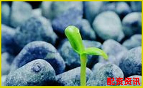 股票配资利息为何偏高影响因素深度解析-股票杠杆融资平台有哪些
