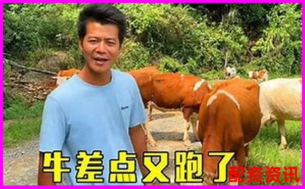 新手必看关于牛配网你必须要知道的二十八个真实体验点