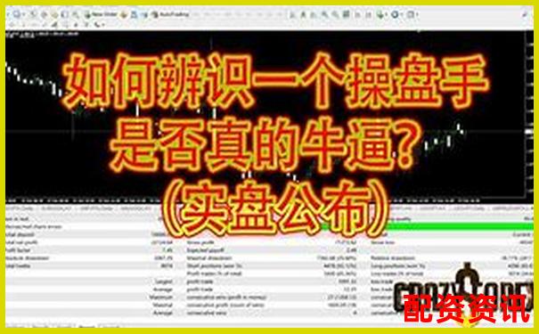 新手到高手都需要看的金汇操盘全维度深度评测指南