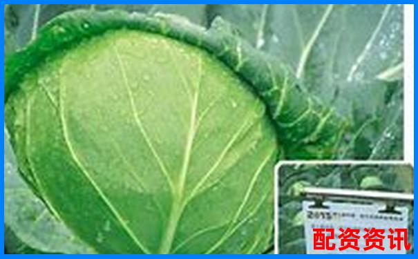 鼎丰稳居配资平台榜首这份在线配资排行告诉你答案-股票的杠杆倍数怎么算出来的呢视频