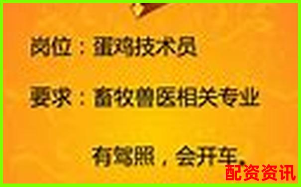 长沙股票配资公司高薪诚聘 你是否符合这些岗位要求-杠杆交易倍数如何计算公式